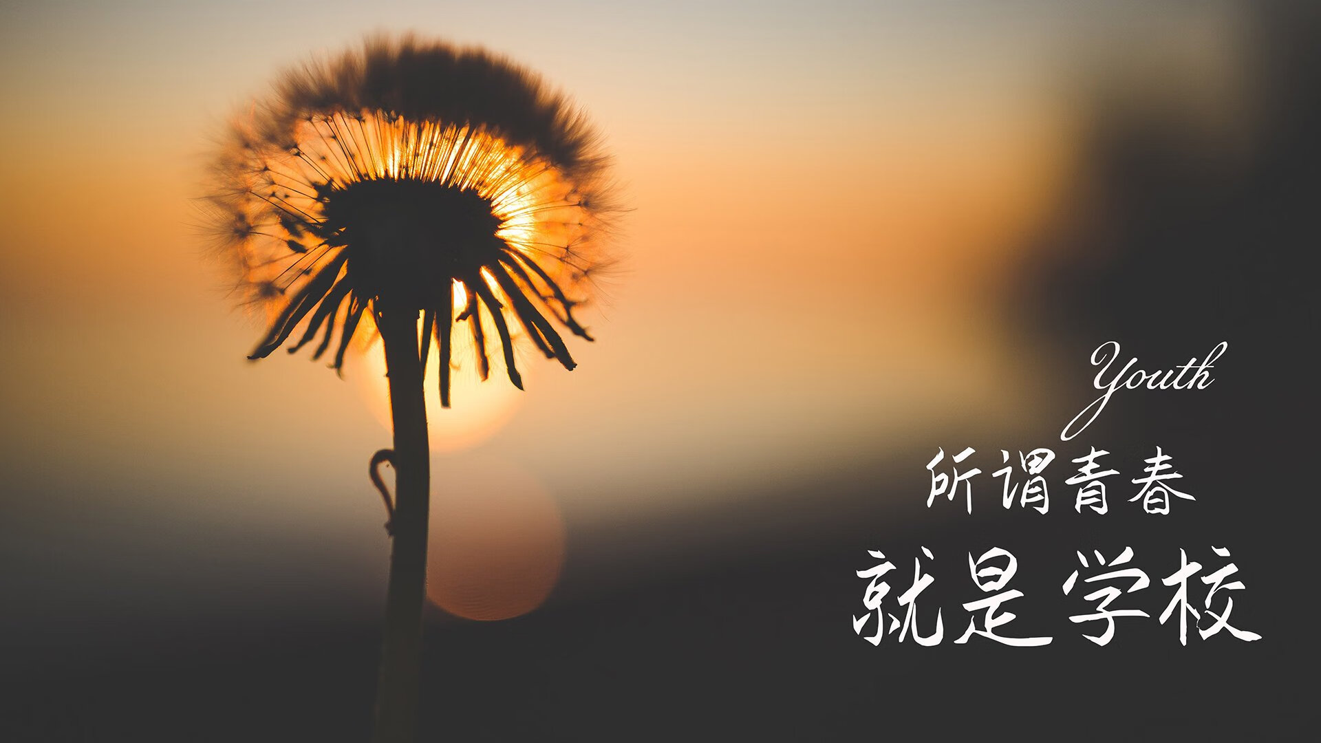 _魔术队全队奋战，迎来季后赛希望_，魔术队2020