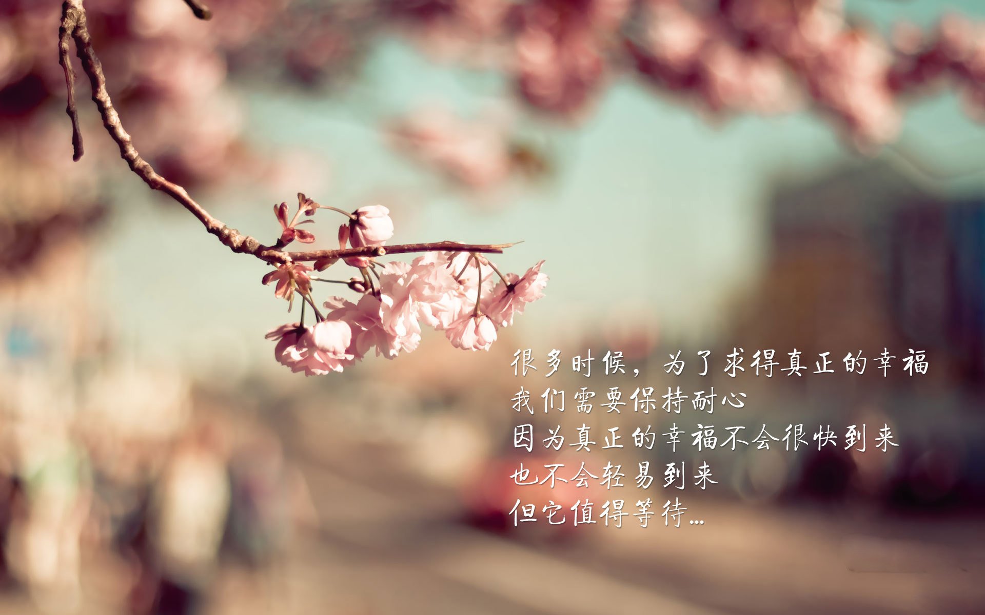 im电竞网页版-【“极速投球”背后的科技魔力】精密传感带来极限速度突破，极速传球怎么最快