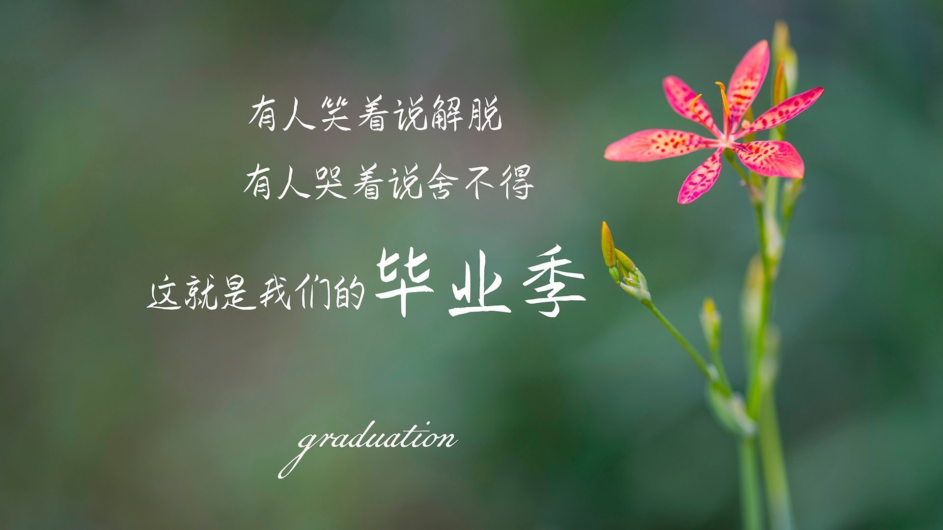 im电竞官方下载-火箭年轻核心打出气势击败骑士，火箭骑士队