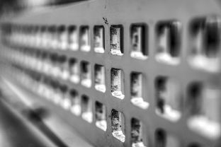 im体育官网登录-青少年运动损伤预防技术及实践研究，青少年运动损伤预防技术及实践研究论文