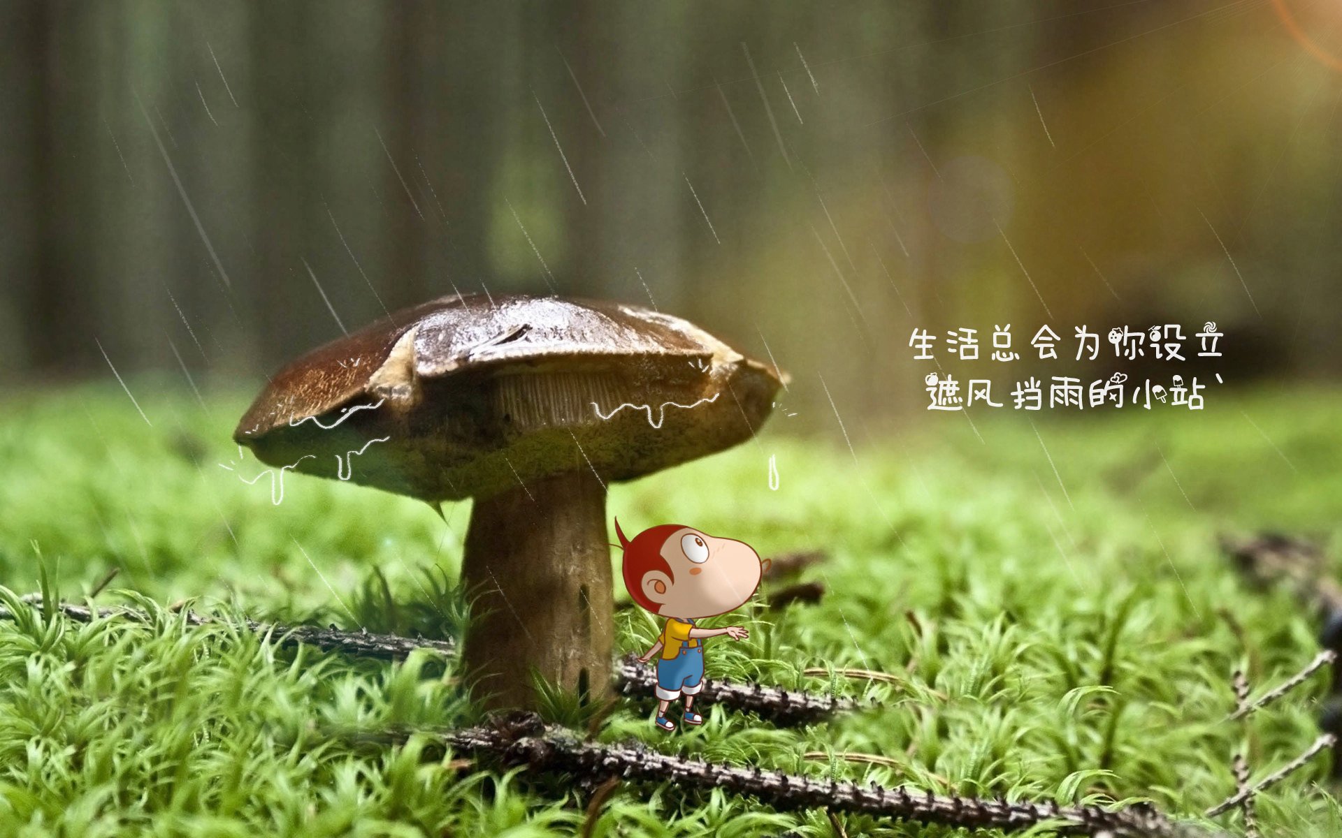im体育app官网-混合泳项目新秀突围成功，混合泳是啥