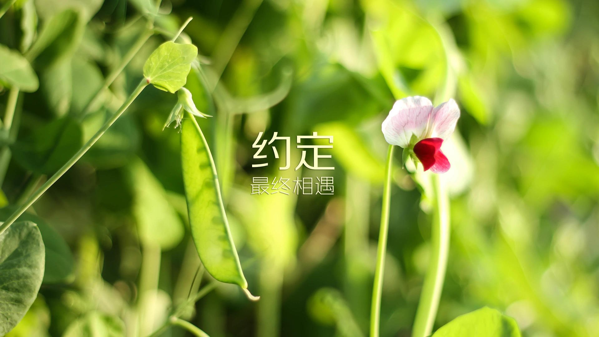 IM体育官方网站-大学篮球联赛推动赛季与学业双重平衡支持学生运动员，篮球大学生联赛叫什么